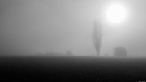 Dietro la nebbia...il sole!